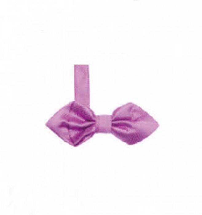 BT022 order best man's bow tie men's formal marriage Korean bow tie men's sharp angle British bow tie supplier