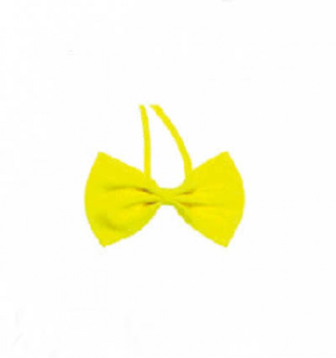 BT019 customized suit bow tie online order formal bow tie manufacturer
