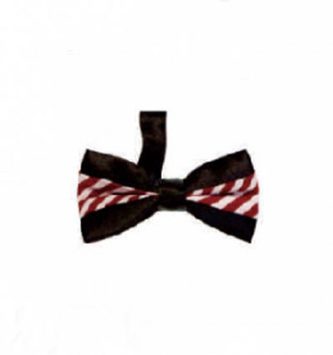 BT018 make fashion bow tie online order color contrast bow tie manufacturer