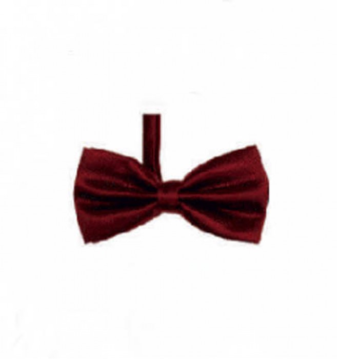BT016 Order suit bow tie online order formal bow tie manufacturer