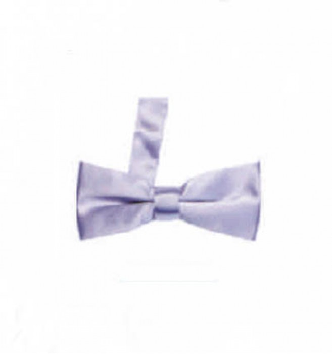 BT020 custom British men's bow tie supply bridegroom best man wedding ceremony suit bow tie production formal shirt bow tie manufacturer