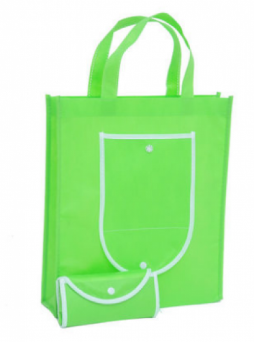 SKEFB04   fruit-like green foldable Environment Friendly Bag offer tailor made folding eco friendly folding bags supplier company price