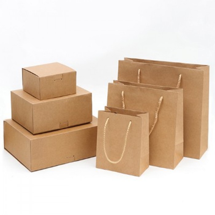 SKEPB006  Fine paper bags Kraft paper boxes Fashion shopping bags Kraft paper bags Eco bag manufacturers